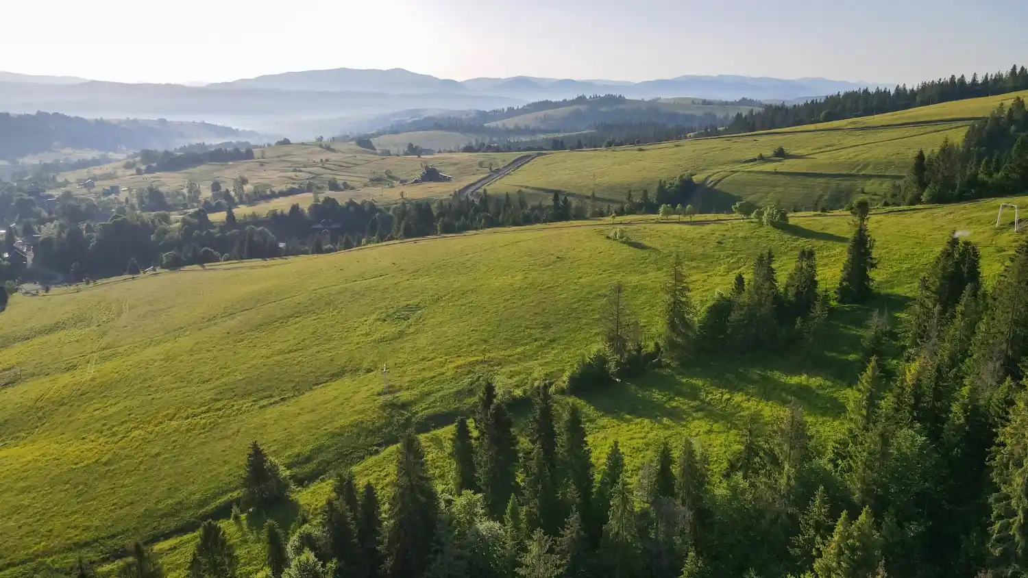 Landscape ecology