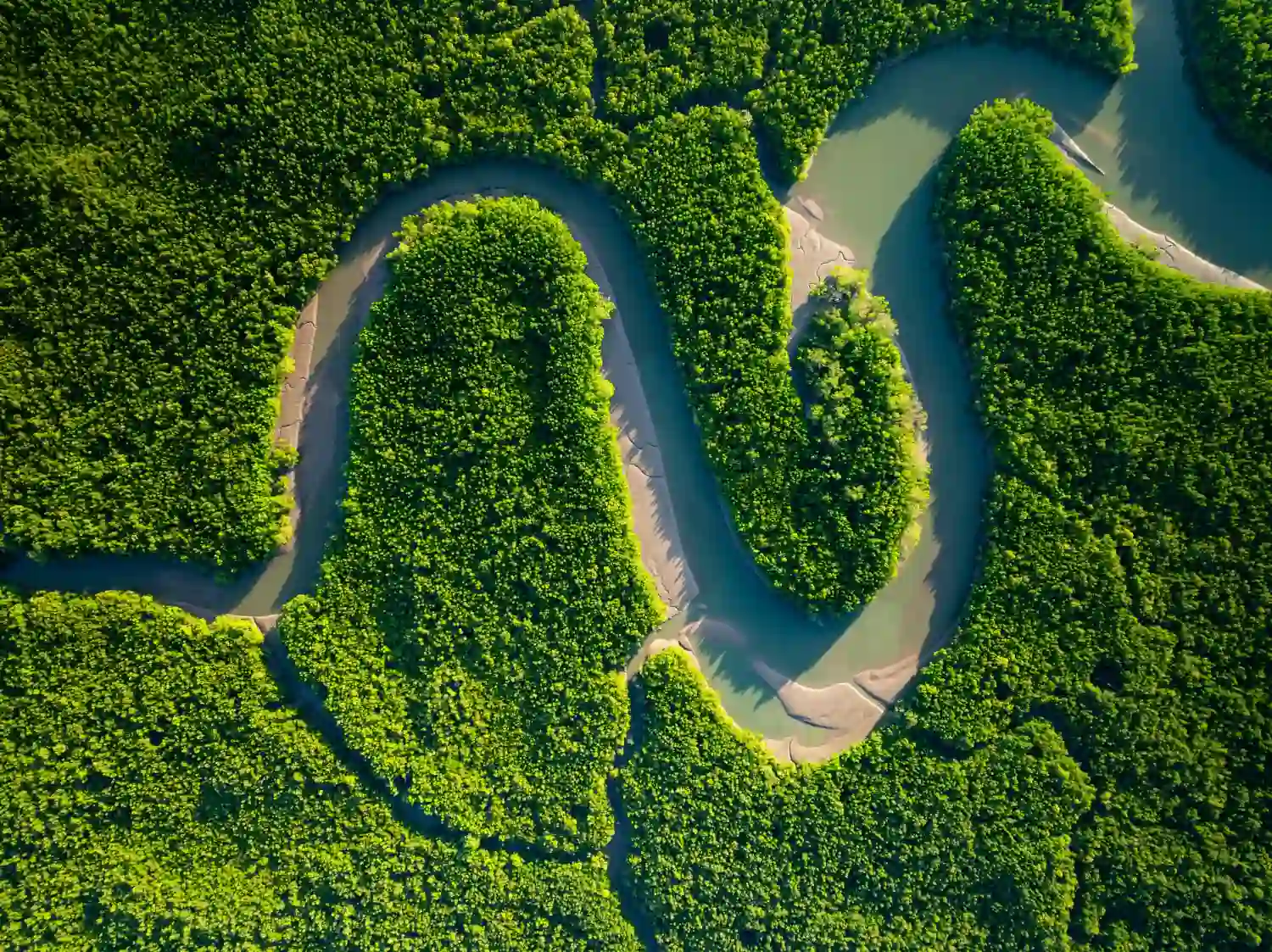 Ecology definition