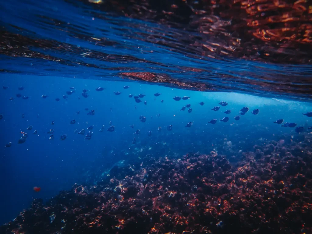 Aquatic ecology