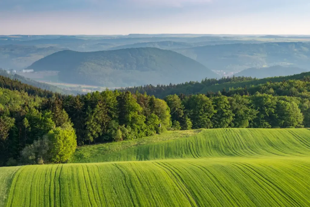 Landscape ecology