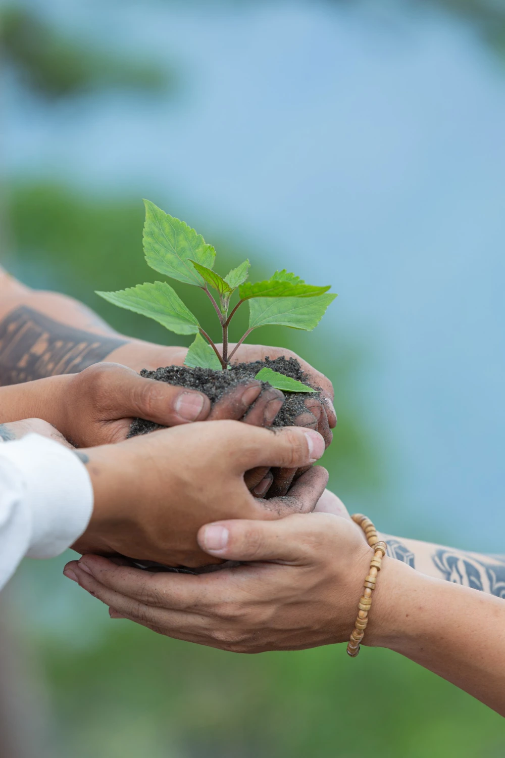 Ecology definition